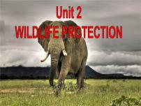 人教版 (2019)必修 第二册Unit 2 Wildlife protection课文配套ppt课件