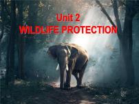 人教版 (2019)必修 第二册Unit 2 Wildlife protection授课课件ppt