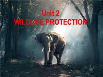 人教版 (2019)必修 第二册Unit 2 Wildlife protection评课ppt课件