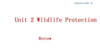 人教版 (2019)必修 第二册Unit 2 Wildlife protection说课课件ppt