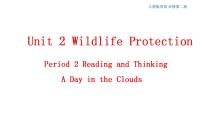 英语必修 第二册Unit 2 Wildlife protection教案配套课件ppt