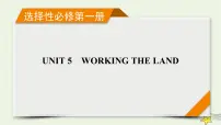 (新高考)2023版高考英语一轮总复习 Unit 5 working the land课件 新人教版选择性必修第一册