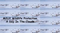 2020-2021学年Unit 2 Wildlife protection教案配套课件ppt