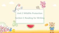 高中英语Unit 2 Wildlife protection教学课件ppt