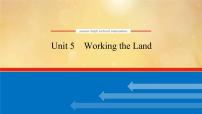 (新高考)高考英语一轮复习课件选择性必修一 Unit 5 Working the Land (含详解)