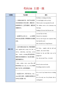 (新高考)高考英语二轮复习课时精炼考向16 主谓一致(2份打包，解析版+原卷版)