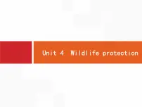 (人教版)高考英语一轮复习课件必修二Unit 4　Wildlife protection (含答案)