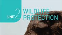 英语必修 第二册Unit 2 Wildlife protection图文课件ppt