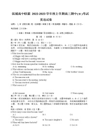 辽宁省大连市滨城联盟2022-2023学年高三英语上学期期中（‖）试卷（Word版附解析）