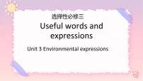 英语人教版 (2019)Unit 3 Environmental Protection公开课ppt课件