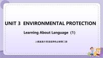 高中Unit 3 Environmental Protection精品ppt课件