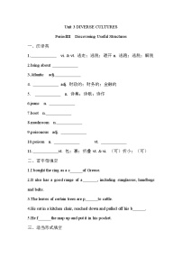 人教版 (2019)必修 第三册Unit 3 Diverse Cultures同步达标检测题