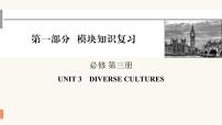 2024届高考英语一轮复习必修第三册UNIT3DIVERSE CULTURES课件