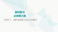 2024届高考英语一轮复习必修第3册UNIT3 DIVERSE CULTURES课件