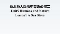 高中英语北师大版 (2019)必修 第二册Lesson 1 A Sea Story集体备课课件ppt