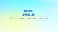 2024版高考英语一轮总复习教材复习Unit2WildlifeProtection课件新人教版必修第二册