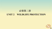 2024版新教材高考英语全程一轮总复习Unit2WildlifeProtection课件新人教版必修第二册