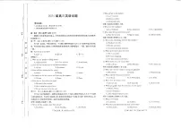 四川省金太阳2024届高三11月联考英语试卷（含解析答案）