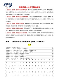 专题11 过去分词七大典型用法（清单）--【知识大盘点】2024高考英语一轮复习知识大盘点红宝书