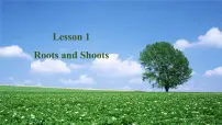 高中英语北师大版 (2019)必修 第三册Lesson 1 Roots and Shoots课文ppt课件