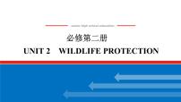 高中英语人教版 (2019)必修 第二册Unit 2 Wildlife protection习题ppt课件