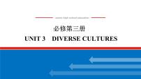 高中英语人教版 (2019)必修 第三册Unit 3 Diverse Cultures习题ppt课件