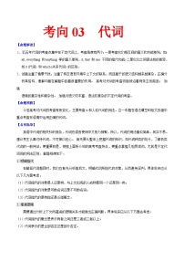 新高考英语一轮复习练习考向03 代词（2份打包，原卷版+解析版）