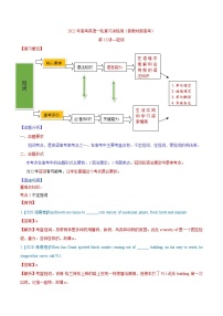 新高考英语一轮复习讲练测专题13 冠词  第13讲 -冠词（讲）（2份打包，原卷版+教师版）