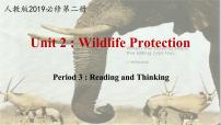 英语必修 第二册Unit 2 Wildlife protection评优课ppt课件