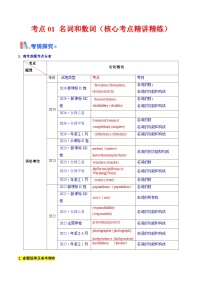 2025年高考英语考点专项突破(新高考通用)第3部分语法讲练考点01名词与数词(核心考点精讲精练)(学生版+解析)