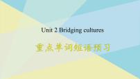 高中英语人教版 (2019)选择性必修 第二册Unit 2 Bridging Cultures课文课件ppt