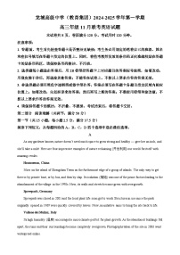 广东省深圳市龙岗区龙城高级中学2024-2025学年高三上学期11月期中英语试题（解析版）-A4