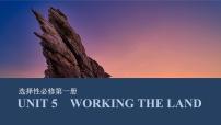 选择性必修第一册UNIT 5　WORKING THE LAND【高中英语】一轮复习：要点突破（课件+学案+练习）（人教版）