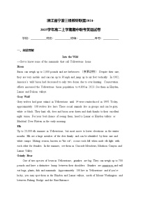 浙江省宁波三锋教研联盟2024-2025学年高二上学期期中联考英语试卷(含答案)