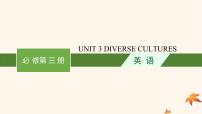 适用于新高考新教材广西专版2025届高考英语一轮总复习必修第三册Unit3DiverseCultures课件新人教版