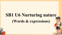 高中英语外研版 (2019)选择性必修 第一册Unit 6 Nurturing nature集体备课课件ppt