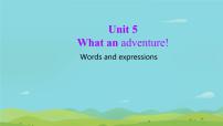 英语必修 第三册Unit 5 What an adventure!集体备课ppt课件