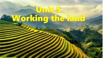 人教版 (2019)选择性必修 第一册Unit 5 Working the Land优质课课件ppt