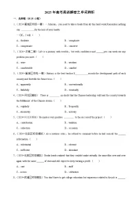 2025年高考英语解密汇编训练之单词辨析（Word版附解析）