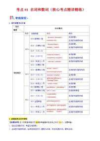 备战高考英语（核心考点精讲精练）考点01 名词与数词（解析版）