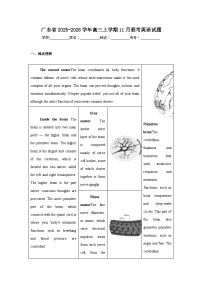 2025-2026学年广东省高三上学期11月联考英语试题（无答案）