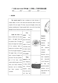 2025-2026学年广东省高三上学期11月联考英语试题（无答案）