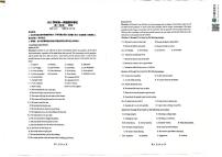 上海市闵行第三中学2025-2026学年高一上学期期中考试英语试题