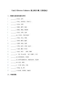 高中英语Unit 3 Diverse Cultures精品同步训练题