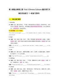 新人教版必修第三册 Unit 3 Diverse Cultures重点词汇讲解及用法练习（一轮复习资料）（解析版+原卷版）