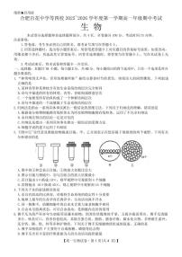 英语-安徽省合肥市百花中学等四校联考2025-2026学年高一上学期11月期中考试试题和答案