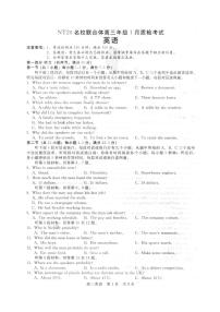 河北省NT20名校联合体高三年级上学期1月质检考试英语试卷（无答案）
