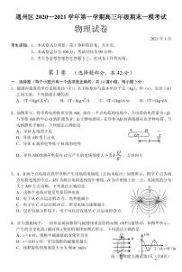 2021届北京市通州区高三上学期期末摸底质量检测物理试题 PDF版