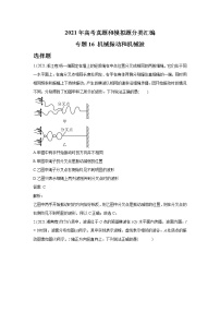 2021年高考物理真题及模拟题分类汇编专题16 机械振动和机械波（学生版+教师版）