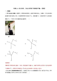 专题2.3 受力分析、共点力作用下物体的平衡—【练】解析版